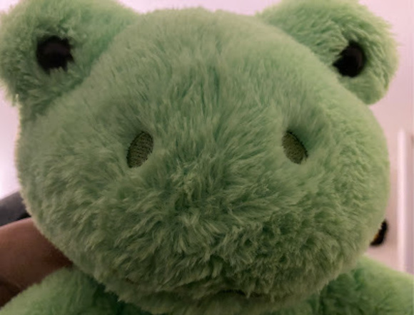fairyfrog7oo7